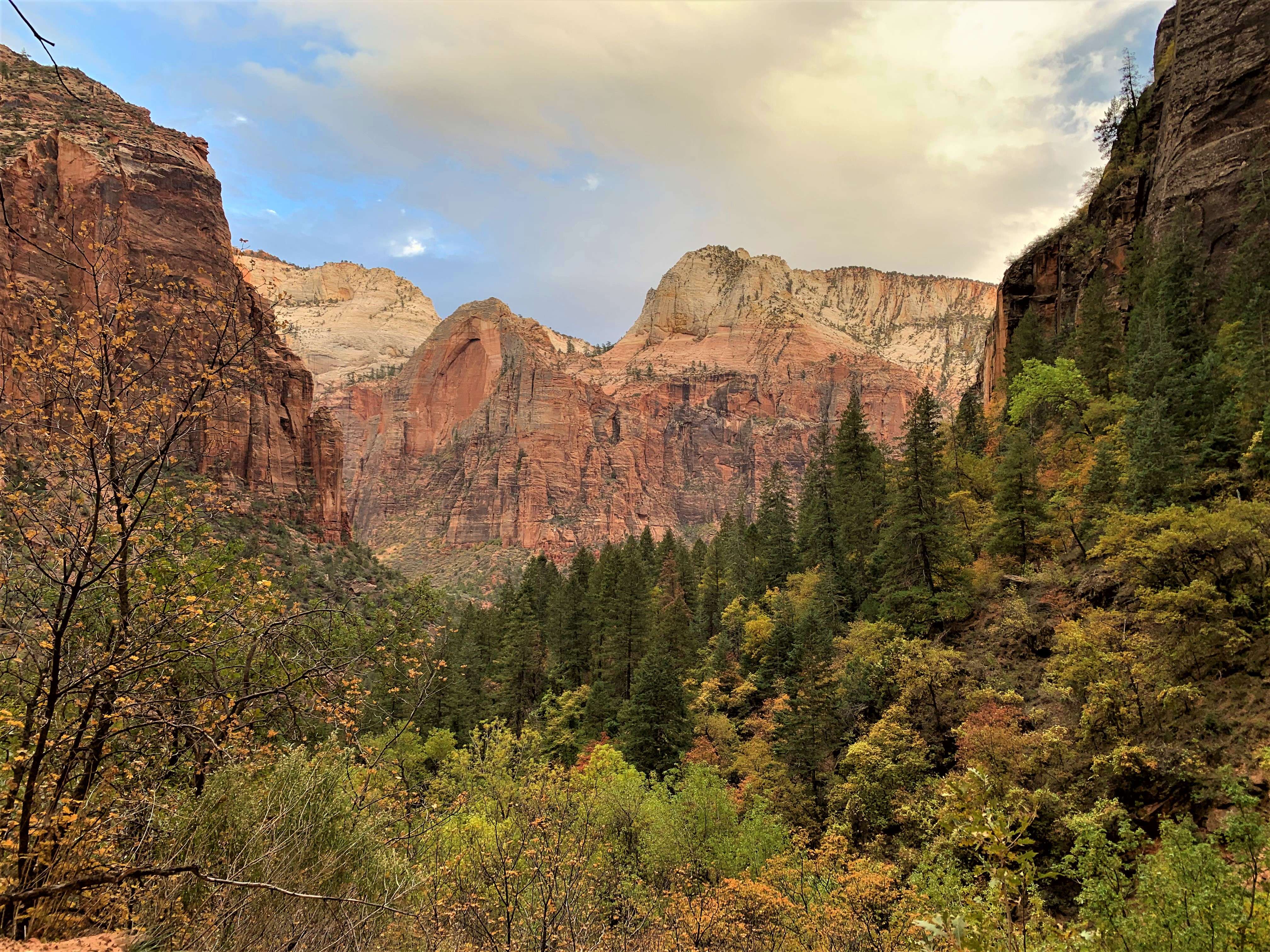 Zion NP